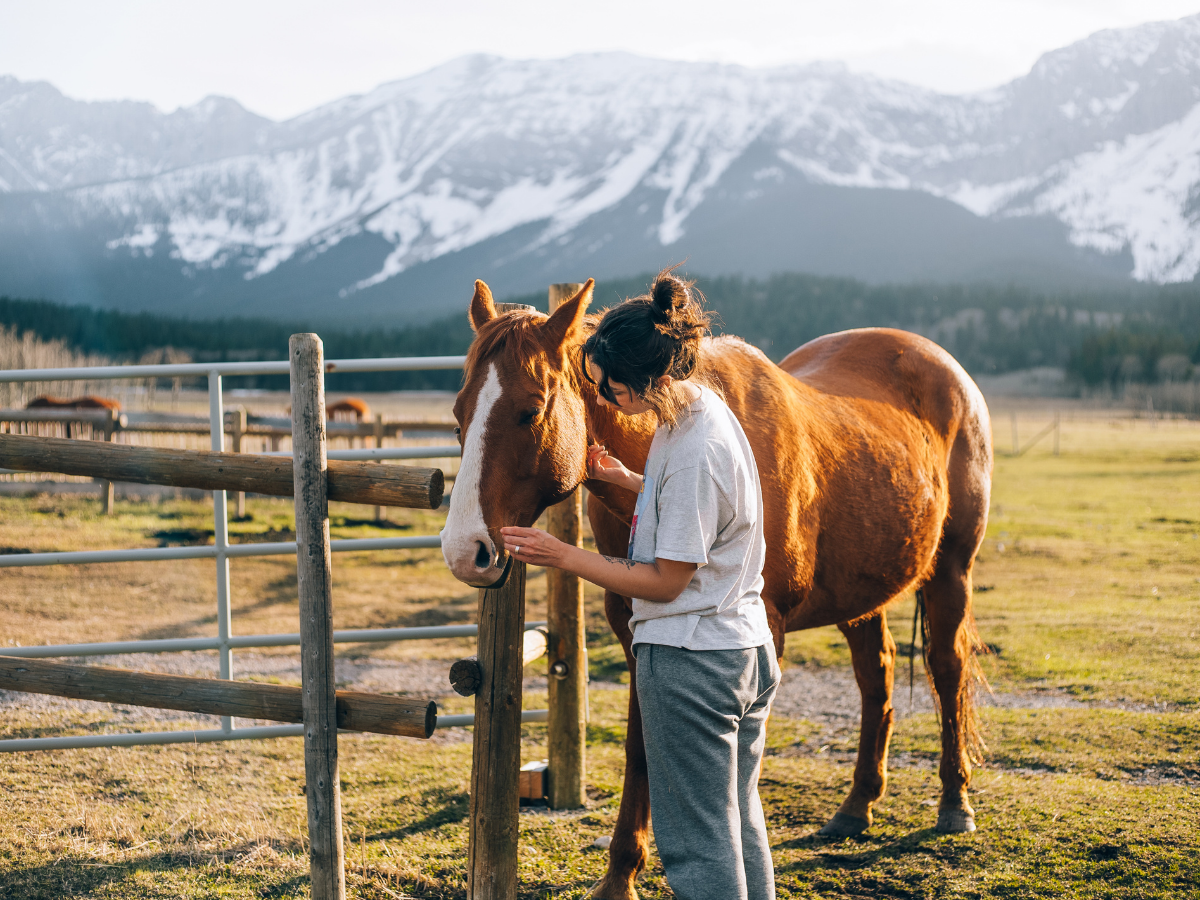 Horse Tests
