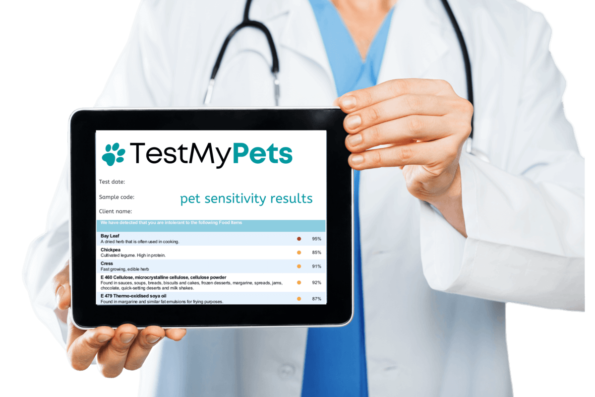 testmypets-lab-results-1200-800
